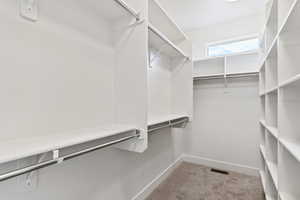 Walk in closet featuring light colored carpet