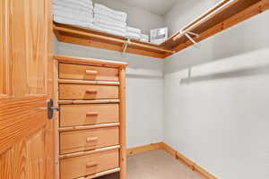 Walk in closet featuring carpet