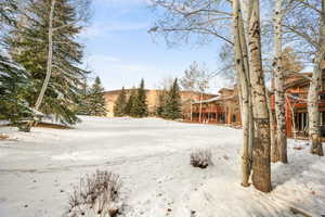 View of yard covered in snow