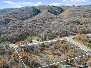 Aerial view with a mountain view