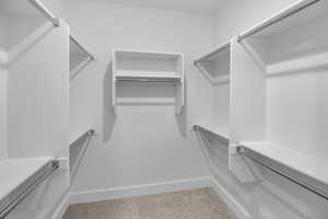 Spacious closet with carpet