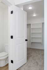 Walk in closet with light colored carpet