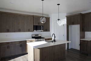 Kitchen featuring pendant lighting, dark flooring, sink, an island with sink, and stainless steel appliances