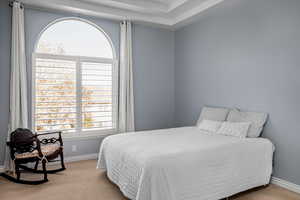 Bedroom with light colored carpet