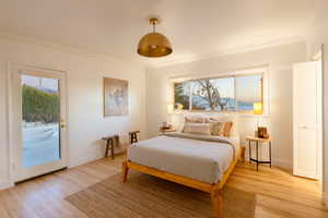 Bedroom with light hardwood / wood-style flooring, access to outside, and multiple windows