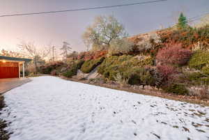 View of yard at dusk