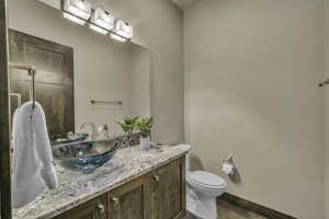 Bathroom featuring vanity, hardwood / wood-style flooring, and toilet