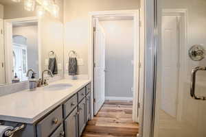 Bathroom with vanity, wood-type flooring, and a shower with door