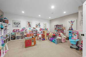 Recreation room featuring carpet floors