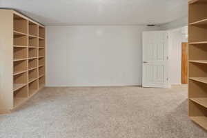 Basement bedroom - currently has lots of shelves