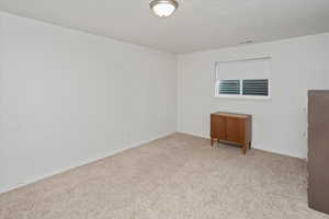 Basement bedroom