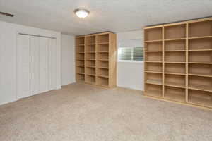 Basement bedroom - currently has lots of shelves