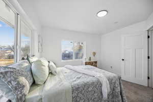 Bedroom featuring carpet floors and multiple windows