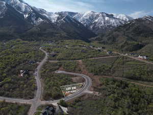 Drone / aerial view with a mountain view and a wooded view