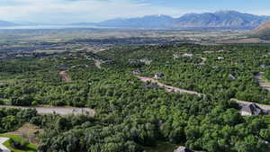 Bird's eye view featuring a forest view and a mountain view