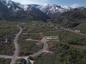 Aerial view with a forest view and a mountain view