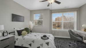 Carpeted bedroom with ceiling fan and multiple windows