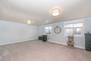 Basement featuring carpet flooring and a textured ceiling