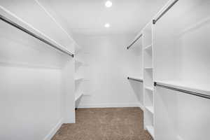 Spacious closet featuring light colored carpet