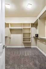 Walk in closet with carpet flooring