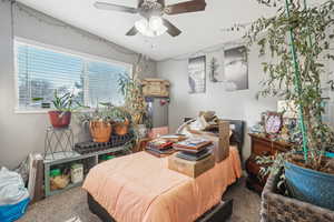 Bedroom featuring carpet and ceiling fan