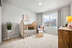 Carpeted bedroom with a textured ceiling and a nursery area