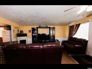 Living room with ceiling fan, dark hardwood / wood-style flooring, and a textured ceiling