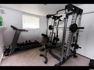 Workout room featuring carpet floors