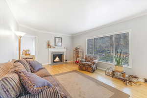 Living room featuring hardwood / wood-style flooring and ornamental molding