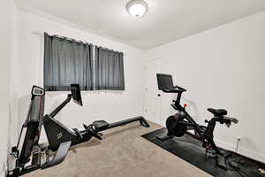 Exercise area with carpet floors