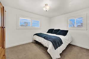 Bedroom with carpet flooring and multiple windows