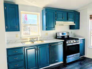 Kitchen featuring dark wood-type flooring, sink, stainless steel appliances, and blue cabinets