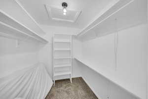 Walk in closet with carpet