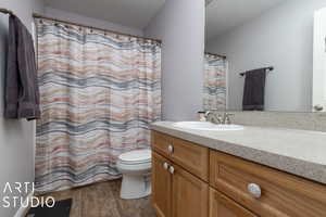 Bathroom featuring toilet, vanity, and hardwood / wood-style flooring