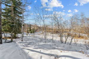 View of snowy yard