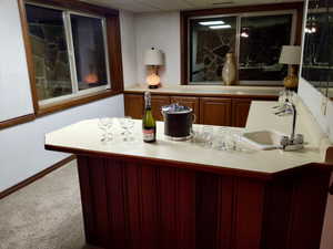 Bar featuring carpet flooring, a paneled ceiling, and sink