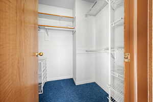 Walk in closet with dark colored carpet