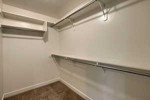 Spacious closet featuring dark carpet