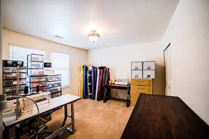 Office space featuring light colored carpet and a textured ceiling