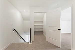 Spacious closet featuring light carpet and vaulted ceiling