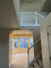 Stairway with carpet
