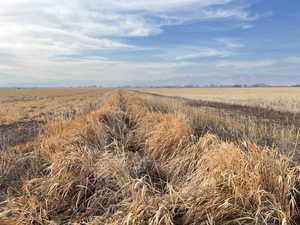 One of the Irrigation Ditches serving the Subject Property