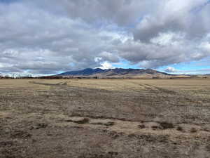 Ground View from Road at Center of Subject Property looking Northward