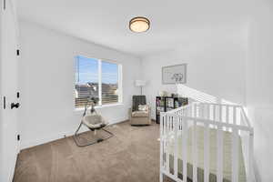 Carpeted bedroom with a nursery area