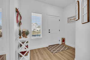 Foyer with hardwood / wood-style floors