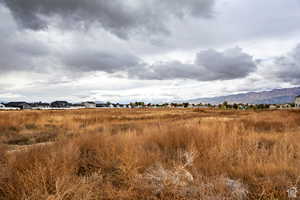 View of local wilderness featuring a mountain view