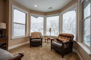 Sitting room with carpet flooring