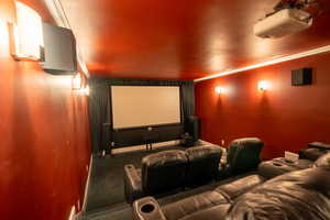 Hoome theater room