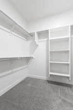 Spacious closet with carpet flooring