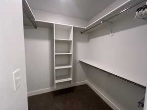 Spacious closet with dark colored carpet